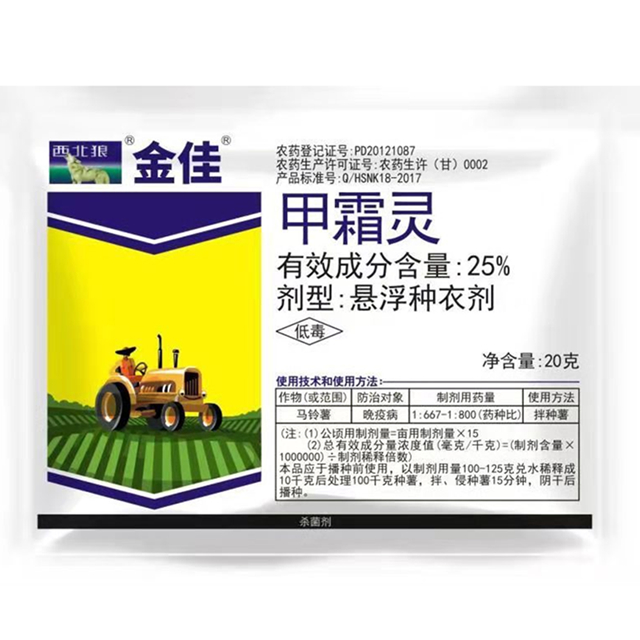 金佳