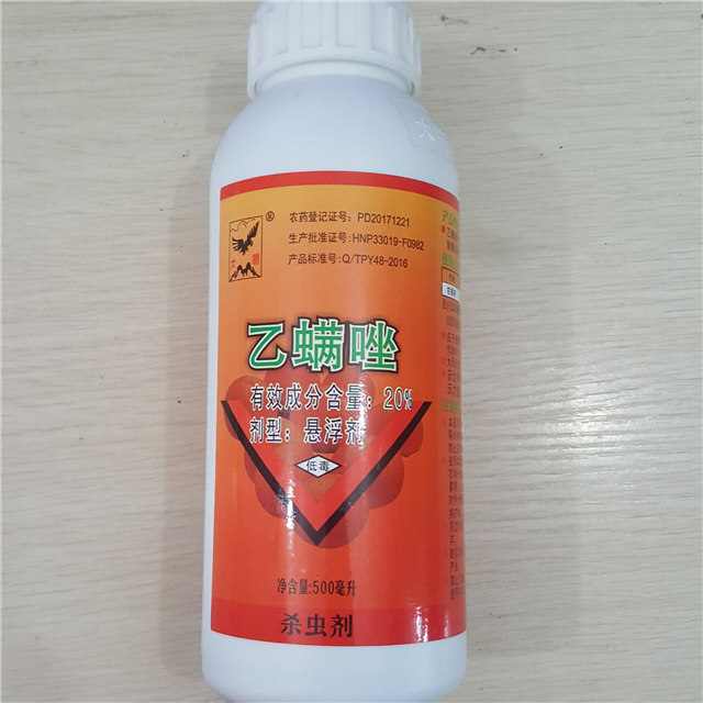 大鹏系列